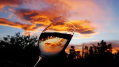 為什么說(shuō)葡萄酒是養(yǎng)生飲品，這里有最全的回答