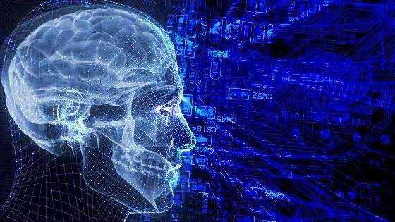 關(guān)于“數(shù)字中國”，你想