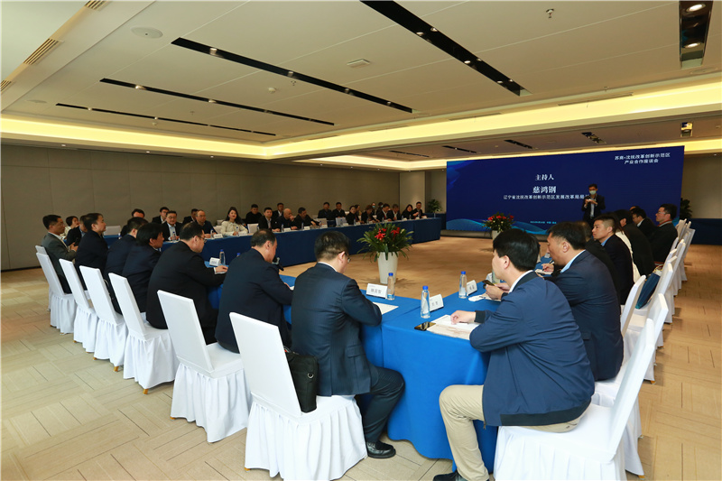 蘇商·沈撫新區(qū)產(chǎn)業(yè)合作座談會(huì)