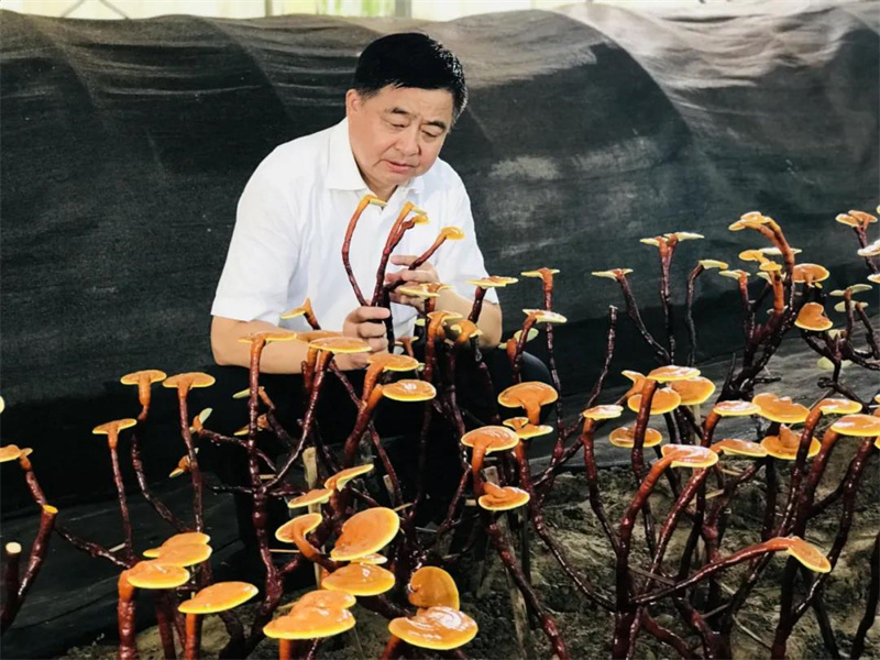 陳惠